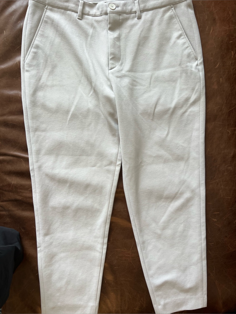 Avva Men's Casual Tapered Pants in Off-White